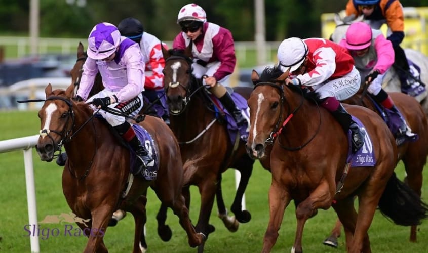 Sligo Races